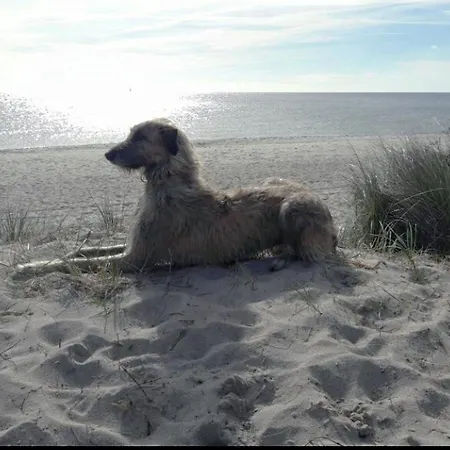 דירה La Casa Uferschwalbe