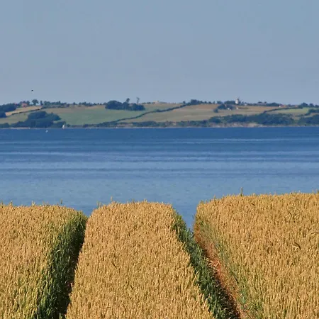 La Casa Uferschwalbe *