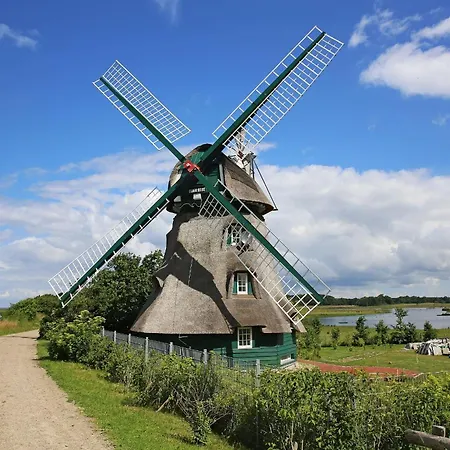 La Casa Uferschwalbe * Steinberg (Schleswig-Holstein)