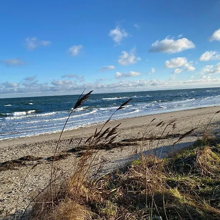 La Casa Uferschwalbe * Steinberg (Schleswig-Holstein)
