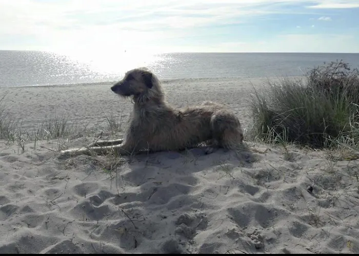 Apartamento La Casa Uferschwalbe