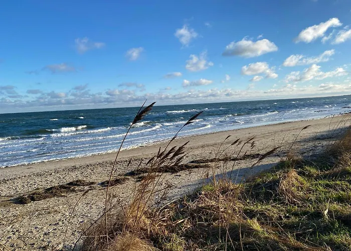 La Casa Uferschwalbe * Steinberg (Schleswig-Holstein)